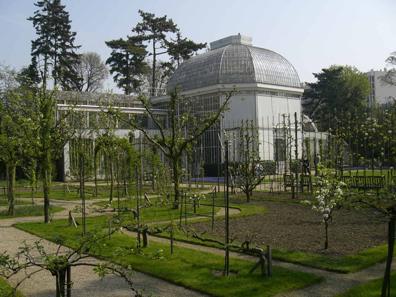 Photo de la serre du jardin Albert Kahn.